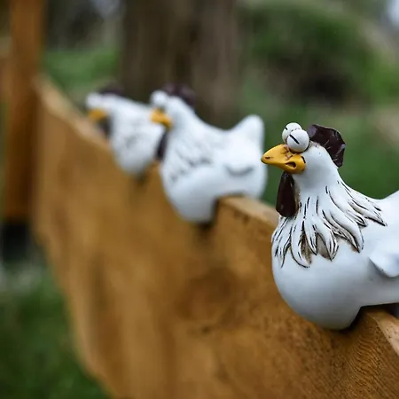 Hygge Z Kominkiem I Sauna Piasek Cedynia Chojna Сasa de vacaciones